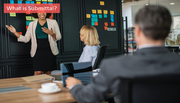 what-is-submittal what-is-submittal